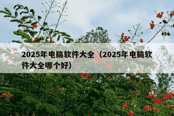 2025年电脑软件大全（2025年电脑软件大全哪个好）