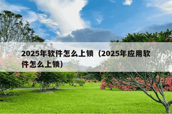 2025年软件怎么上锁(2025年应用软件怎么上锁)