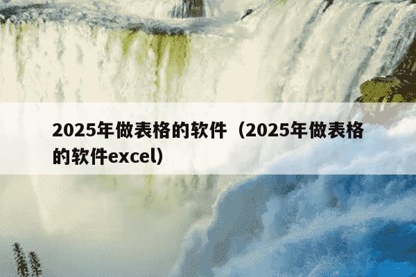 2025年做表格的软件（2025年做表格的软件excel）