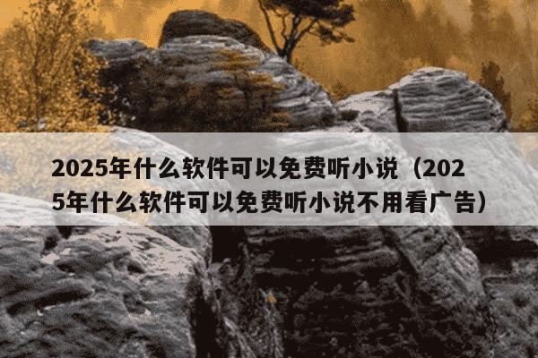 2025年什么软件可以免费听小说(2025年什么软件可以免费听小说不用看广告)