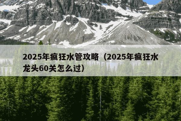 2025年疯狂水管攻略(2025年疯狂水龙头60关怎么过)