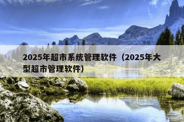 2025年超市系统管理软件（2025年大型超市管理软件）