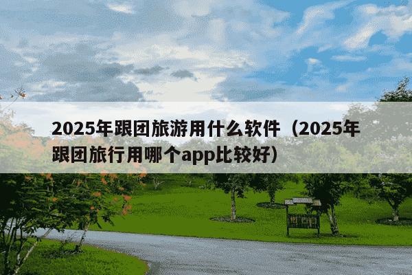 2025年跟团旅游用什么软件(2025年跟团旅行用哪个app比较好)