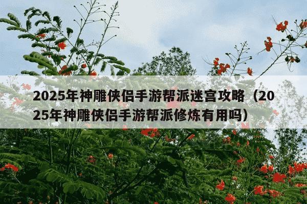 2025年神雕侠侣手游帮派迷宫攻略(2025年神雕侠侣手游帮派修炼有用吗)