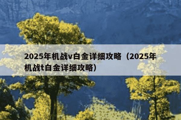 2025年机战v白金详细攻略(2025年机战t白金详细攻略)