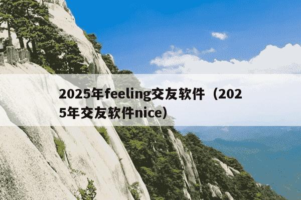 2025年feeling交友软件（2025年交友软件nice）