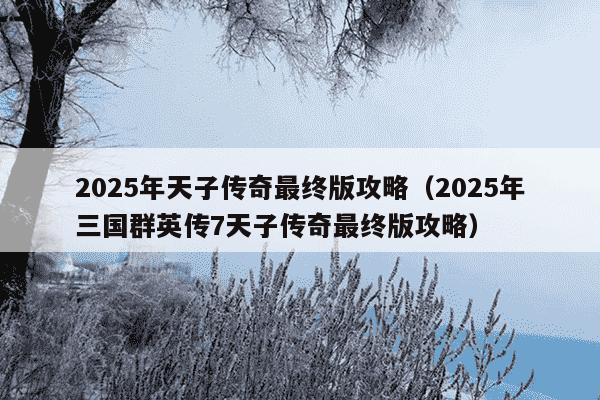 2025年天子传奇最终版攻略（2025年三国群英传7天子传奇最终版攻略）