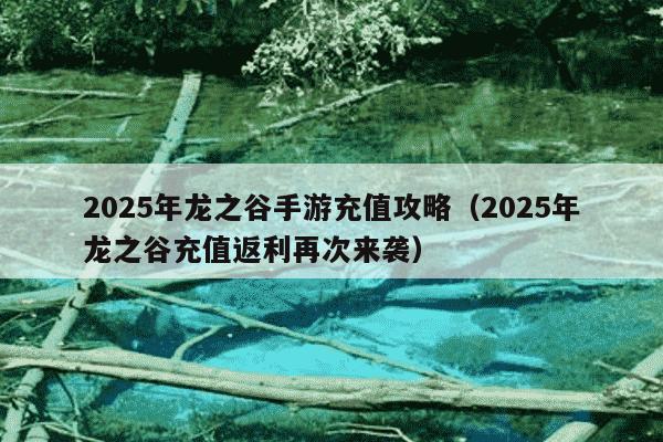 2025年龙之谷手游充值攻略(2025年龙之谷充值返利再次来袭)
