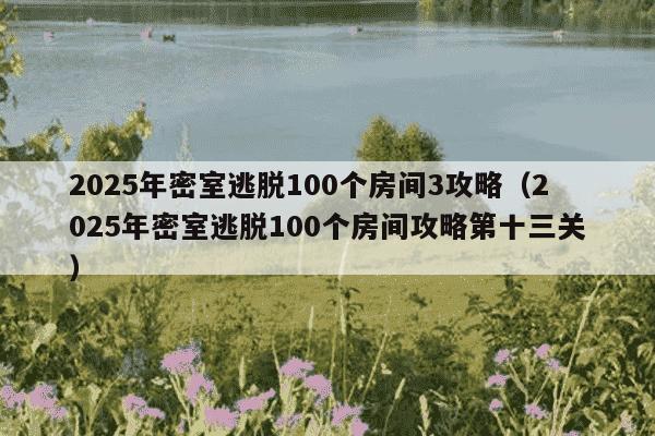 2025年密室逃脱100个房间3攻略(2025年密室逃脱100个房间攻略第十三关)