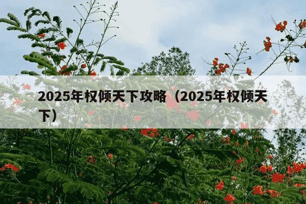 2025年权倾天下攻略（2025年权倾天下）