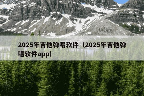 2025年吉他弹唱软件(2025年吉他弹唱软件app)