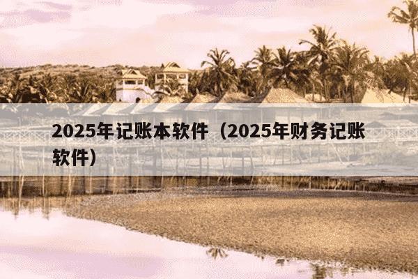 2025年记账本软件（2025年财务记账软件）