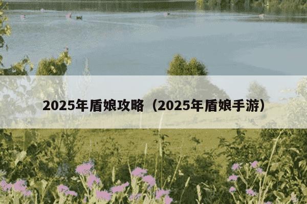 2025年盾娘攻略（2025年盾娘手游）