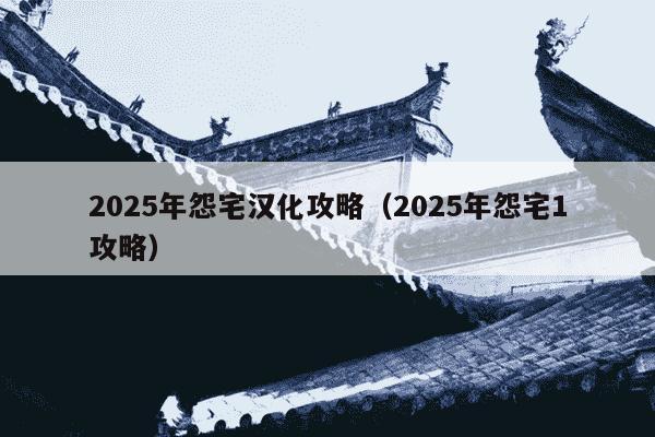 2025年怨宅汉化攻略（2025年怨宅1攻略）