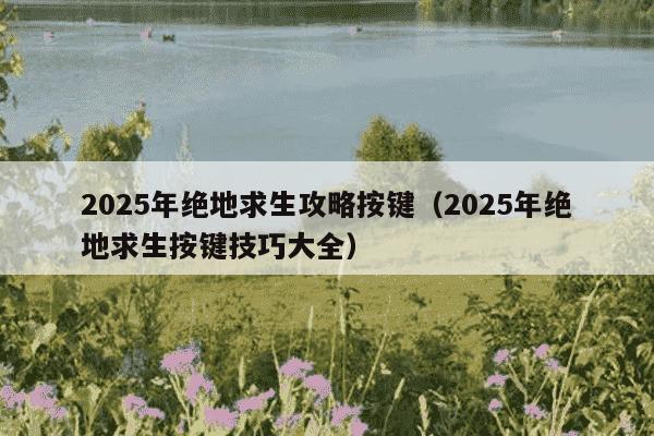 2025年绝地求生攻略按键（2025年绝地求生按键技巧大全）