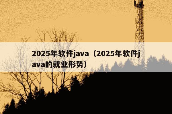 2025年软件java（2025年软件java的就业形势）