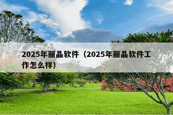 2025年丽晶软件（2025年丽晶软件工作怎么样）