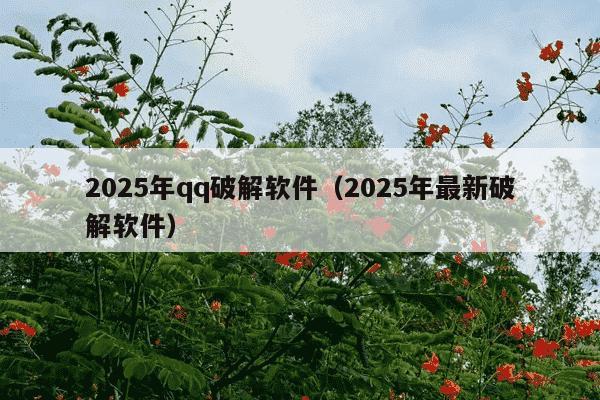 2025年qq破解软件（2025年最新破解软件）