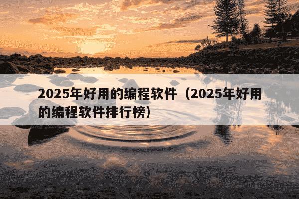 2025年好用的编程软件（2025年好用的编程软件排行榜）
