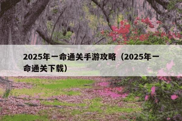 2025年一命通关手游攻略(2025年一命通关下载)