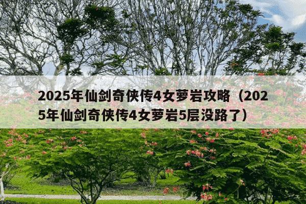 2025年仙剑奇侠传4女萝岩攻略(2025年仙剑奇侠传4女萝岩5层没路了)