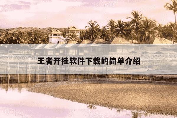 王者开挂软件下载的简单介绍