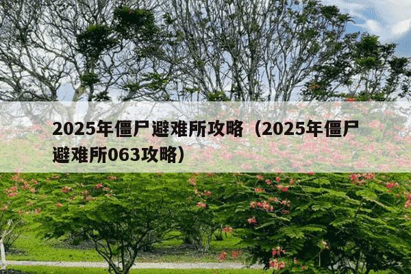 2025年僵尸避难所攻略（2025年僵尸避难所063攻略）