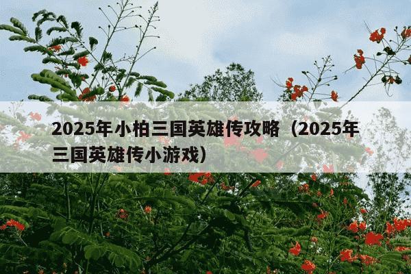 2025年小柏三国英雄传攻略(2025年三国英雄传小游戏)