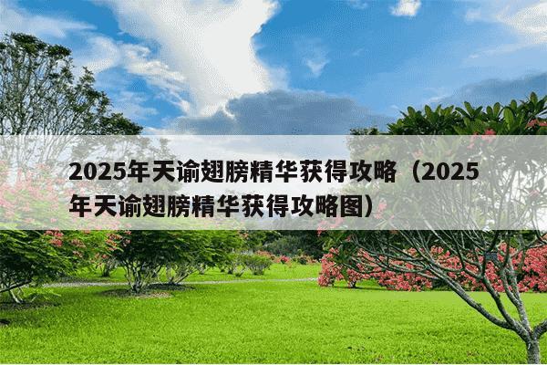 2025年天谕翅膀精华获得攻略(2025年天谕翅膀精华获得攻略图)