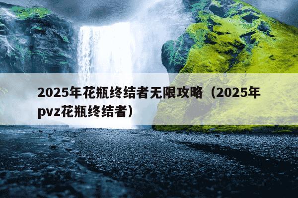2025年花瓶终结者无限攻略(2025年pvz花瓶终结者)