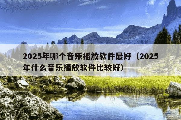 2025年哪个音乐播放软件最好(2025年什么音乐播放软件比较好)