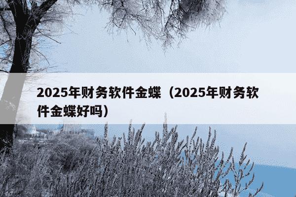 2025年财务软件金蝶(2025年财务软件金蝶好吗)