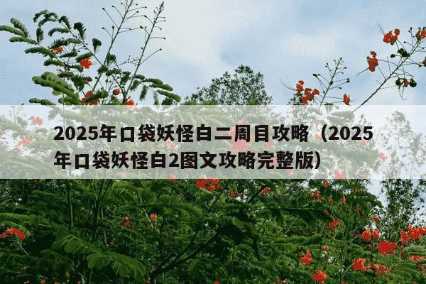 2025年口袋妖怪白二周目攻略(2025年口袋妖怪白2图文攻略完整版)