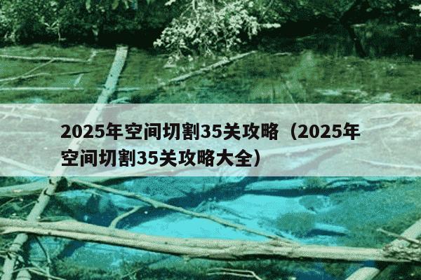 2025年空间切割35关攻略(2025年空间切割35关攻略大全)