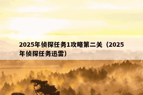 2025年侦探任务1攻略第二关(2025年侦探任务迅雷)
