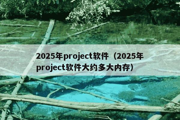 2025年project软件（2025年project软件大约多大内存）