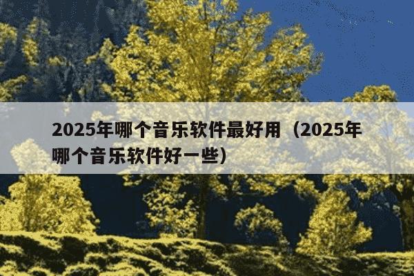 2025年哪个音乐软件最好用(2025年哪个音乐软件好一些)
