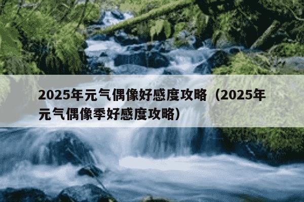 2025年元气偶像好感度攻略（2025年元气偶像季好感度攻略）