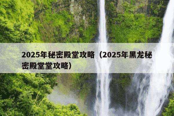 2025年秘密殿堂攻略（2025年黑龙秘密殿堂堂攻略）