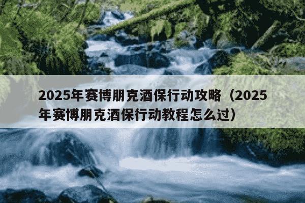 2025年赛博朋克酒保行动攻略(2025年赛博朋克酒保行动教程怎么过)