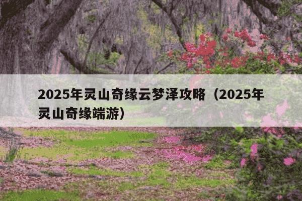2025年灵山奇缘云梦泽攻略（2025年灵山奇缘端游）