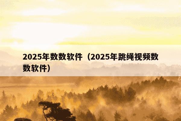 2025年数数软件(2025年跳绳视频数数软件)
