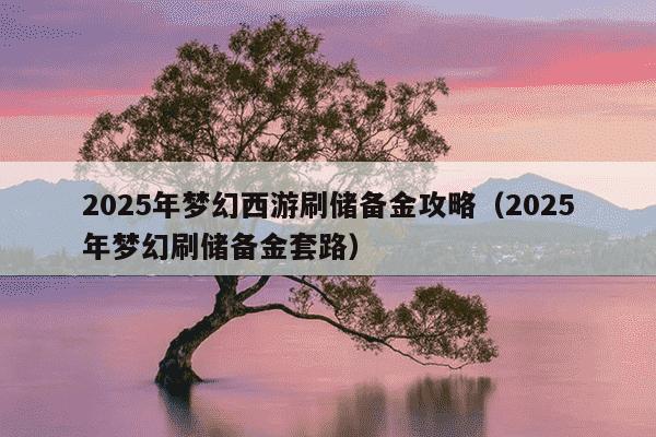 2025年梦幻西游刷储备金攻略（2025年梦幻刷储备金套路）