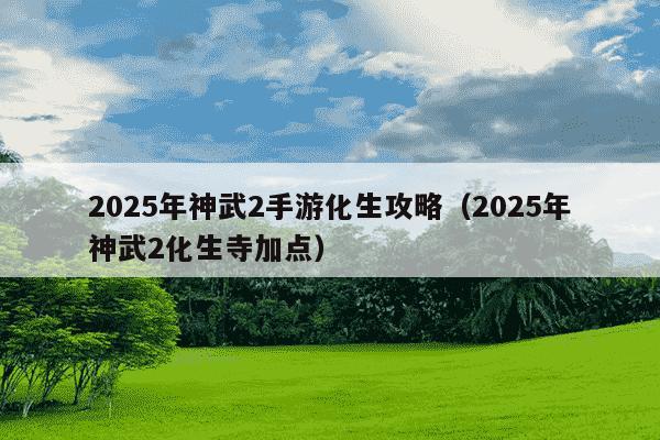 2025年神武2手游化生攻略（2025年神武2化生寺加点）