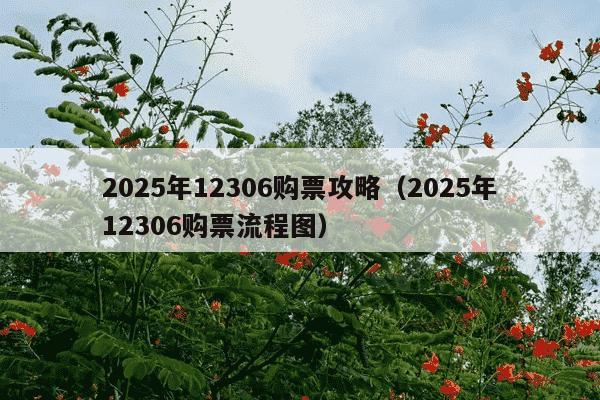 2025年12306购票攻略（2025年12306购票流程图）