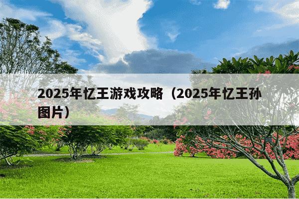 2025年忆王游戏攻略(2025年忆王孙图片)