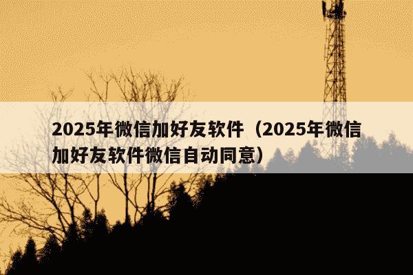 2025年微信加好友软件（2025年微信加好友软件微信自动同意）