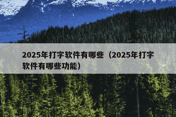 2025年打字软件有哪些（2025年打字软件有哪些功能）