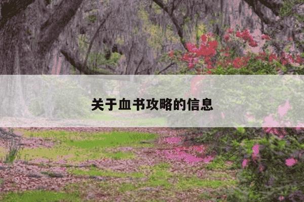 关于血书攻略的信息