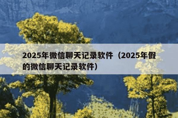 2025年微信聊天记录软件（2025年假的微信聊天记录软件）